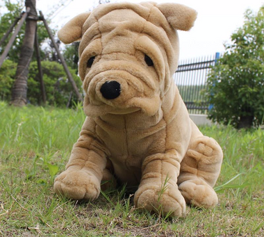 Sharpei Plush Toy